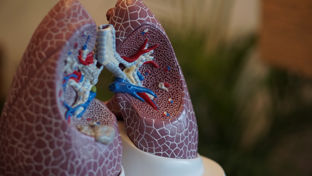 Shortness of Breath: 7 Tips to Combat a Respiratory Illness