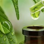 What is CBD? An Easy Quick Way to take KW CBD Oil Every Day