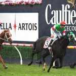Factors To Consider When Finding Caulfield Cup Tips