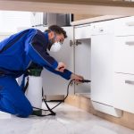 Benefits of Choosing a Professional Pest Control Company in Madison Alabama